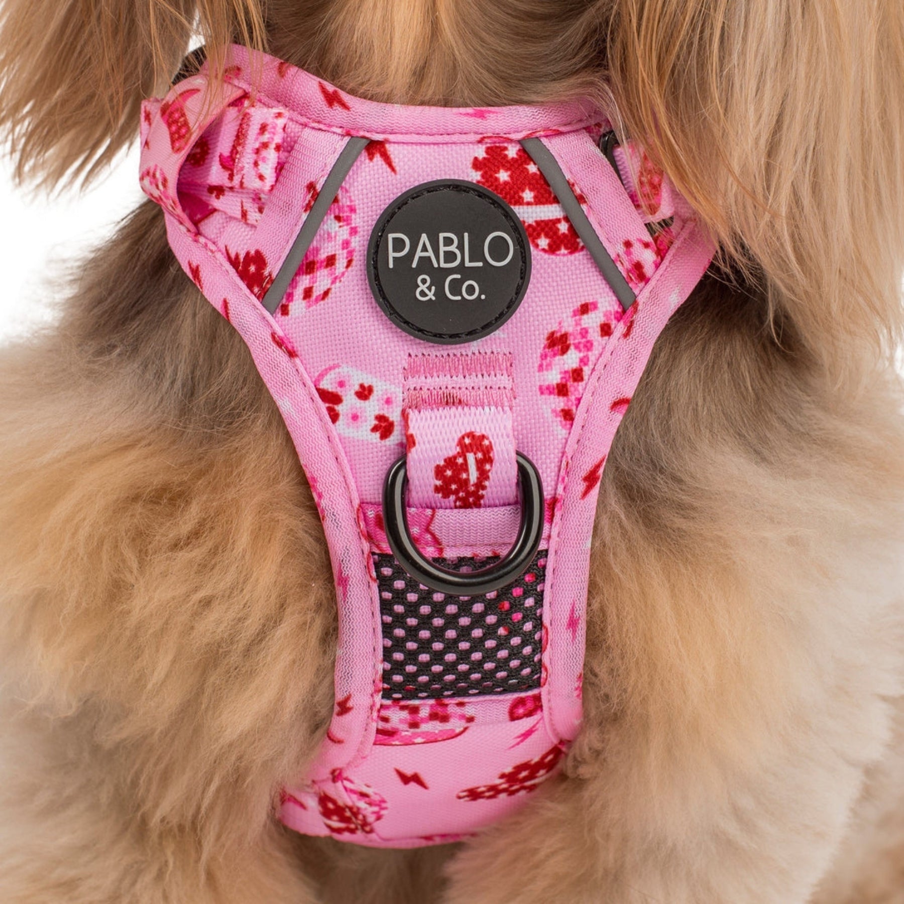 Disco Cowgirl No Pull Adventure Harness - Pooch Luxury