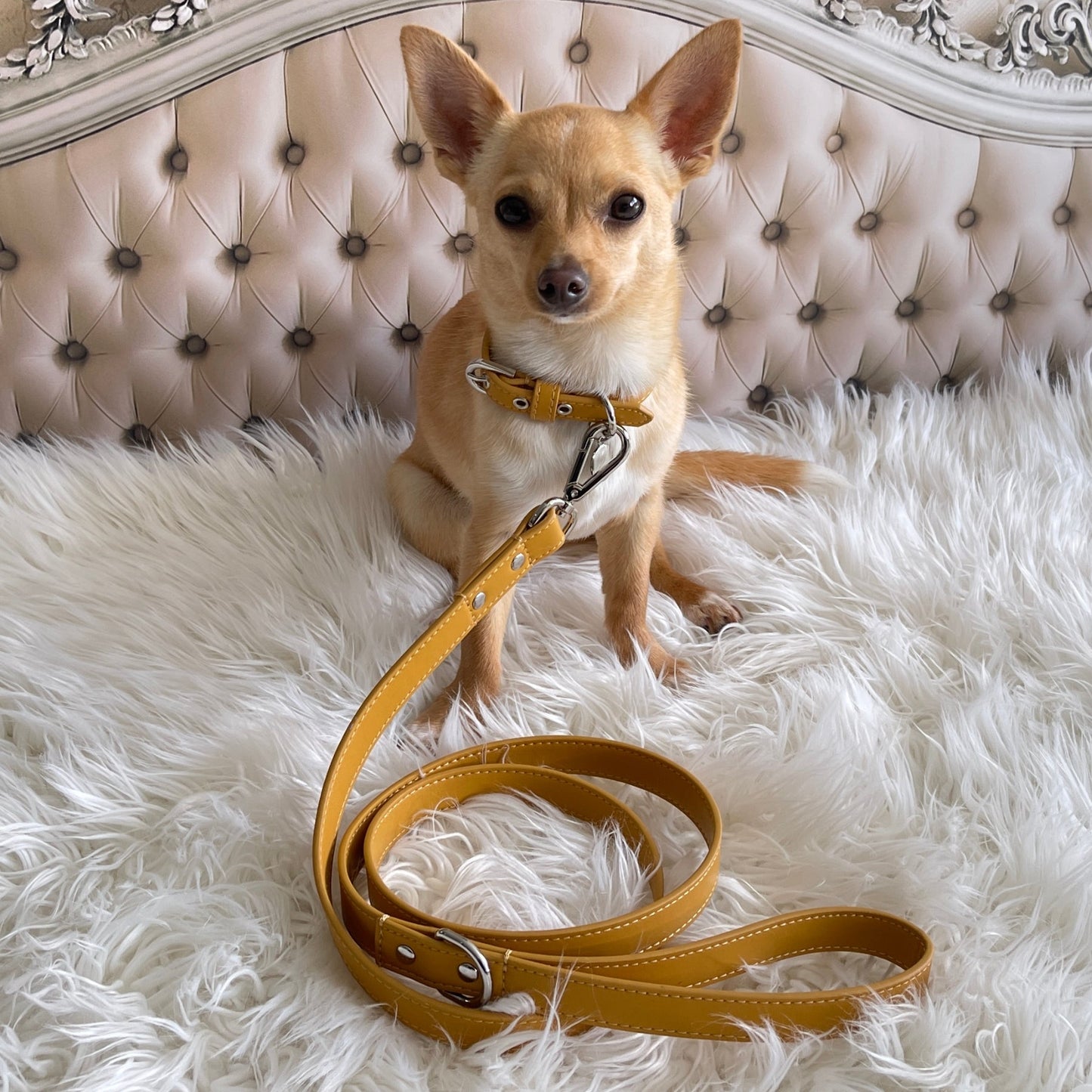 Dog Leash - Honeycomb - Pooch Luxury