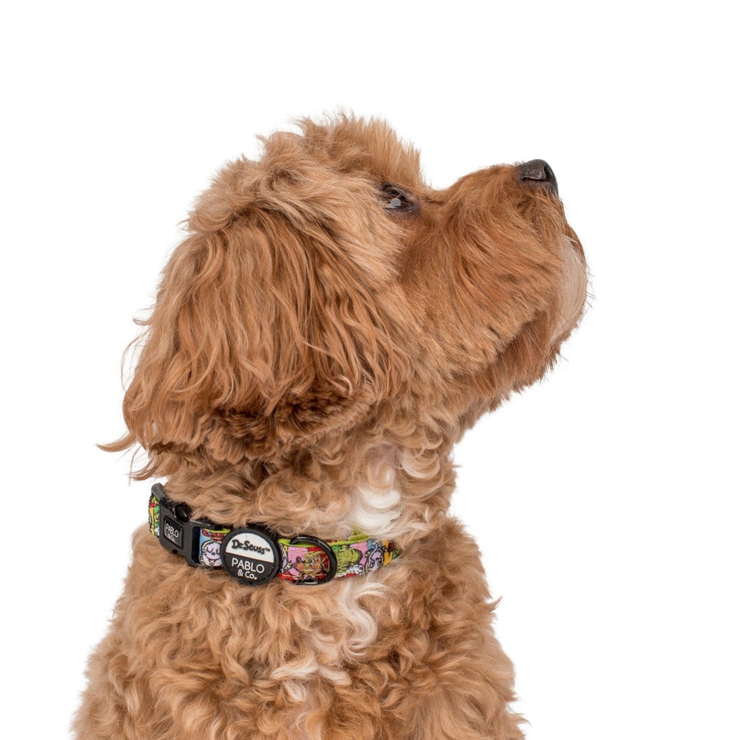 Dr. Seuss' Who-Ville Dog Collar - Pooch Luxury