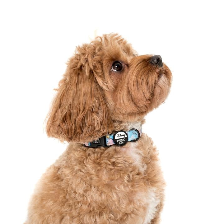Dumbo In The Clouds Dog Collar - Pooch Luxury