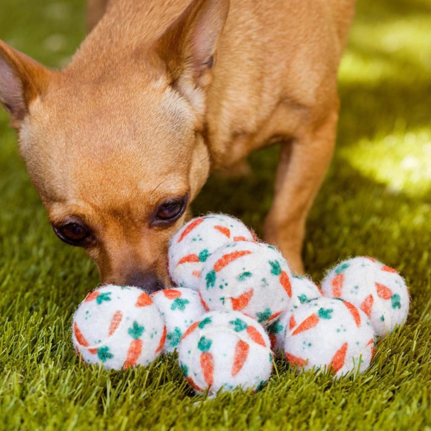 Easter Carrot Dog Tennis Balls - Pooch Luxury