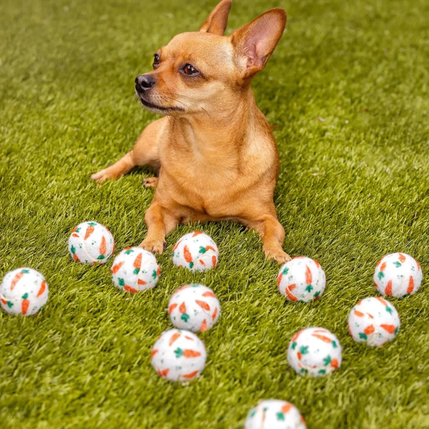 Easter Carrot Dog Tennis Balls - Pooch Luxury