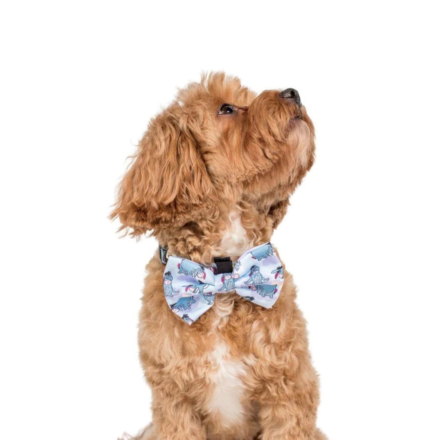 Eeyore Bow Tie - Pooch Luxury