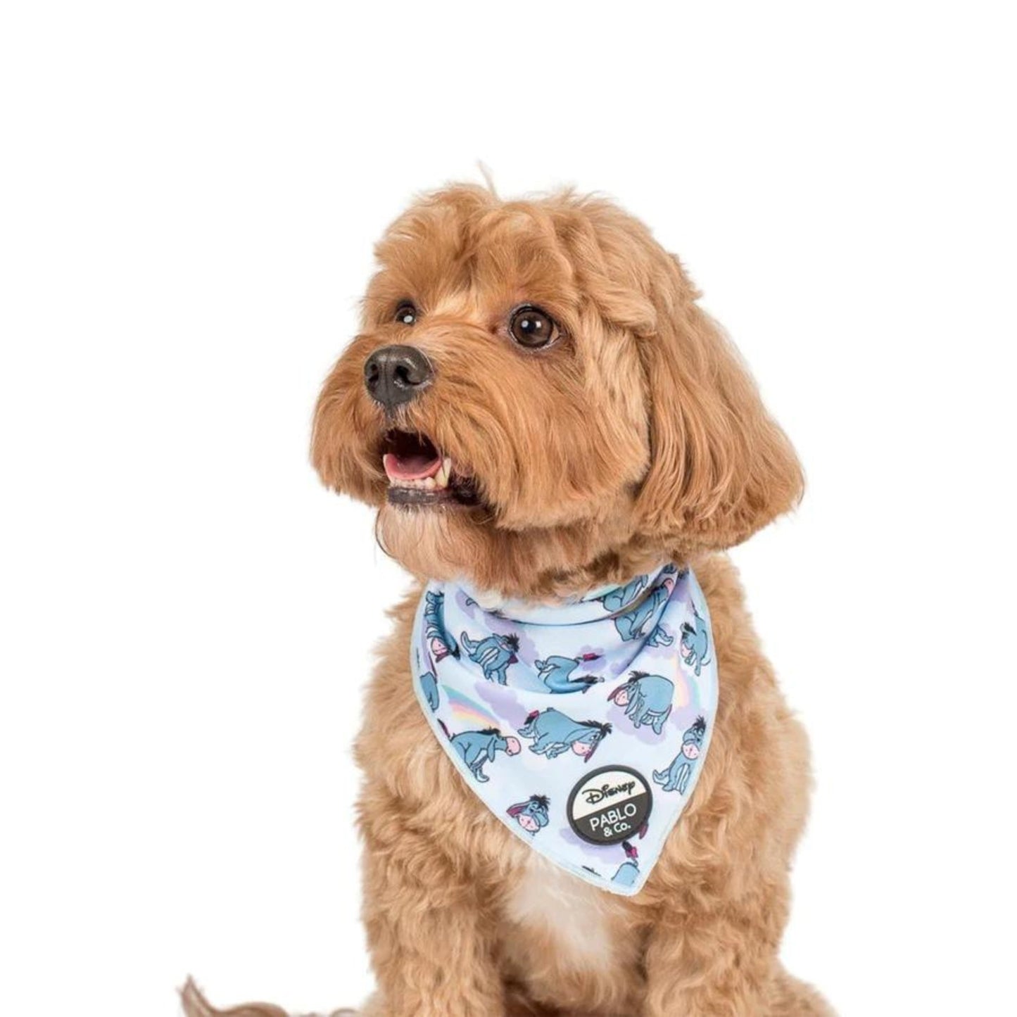 Eeyore Dog Bandana - Pooch Luxury