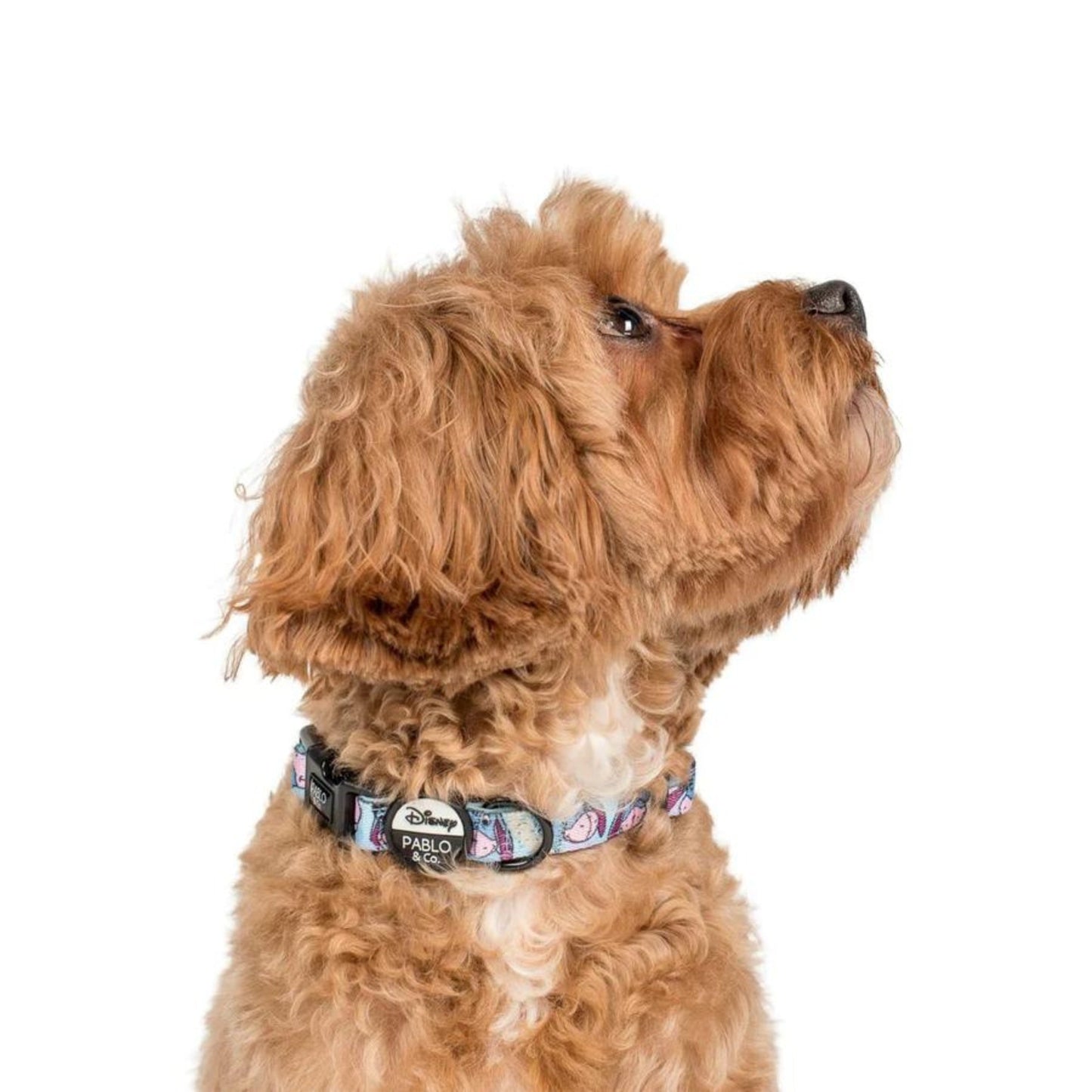 
                  
                    Eeyore Dog Collar - Pooch Luxury
                  
                