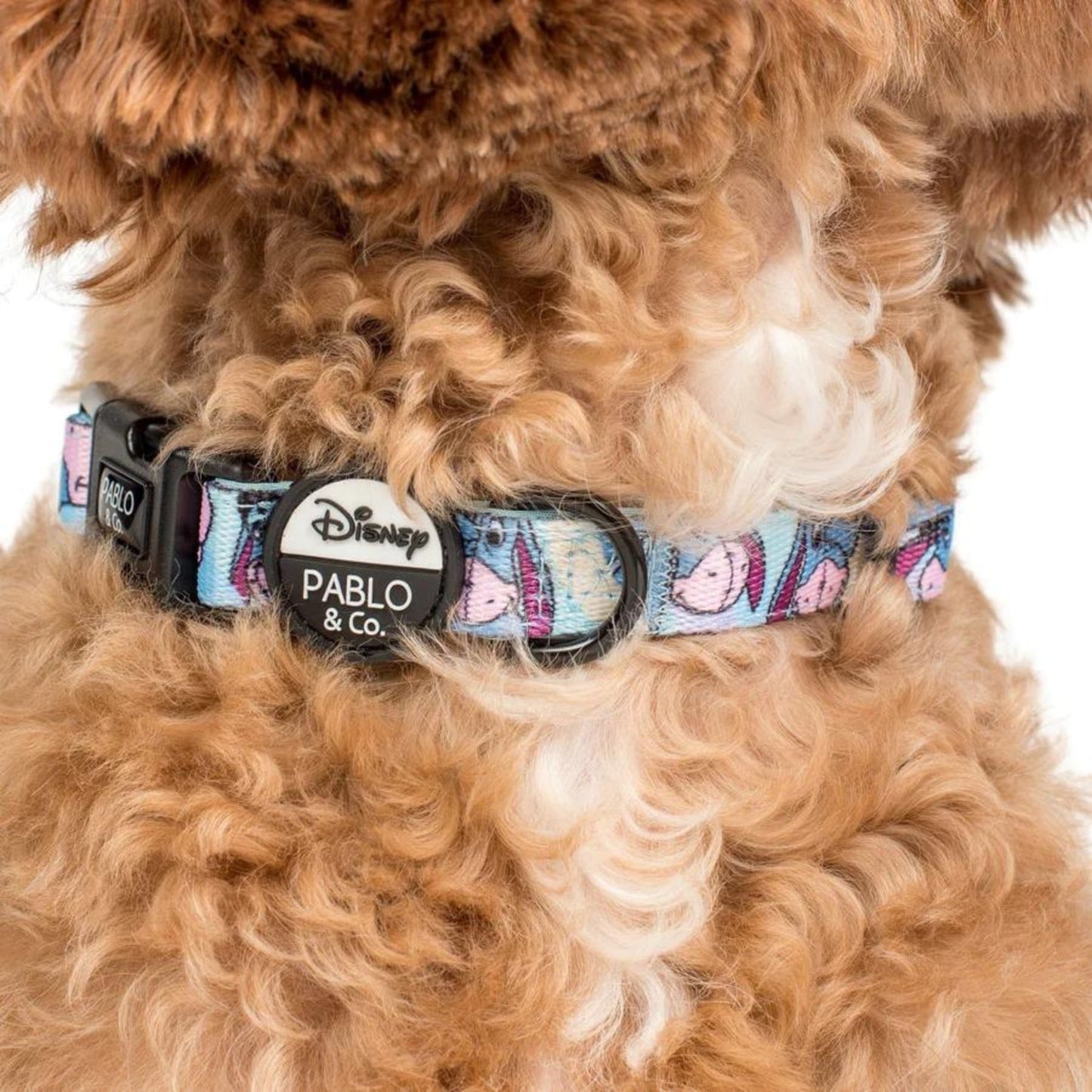 Eeyore Dog Collar - Pooch Luxury