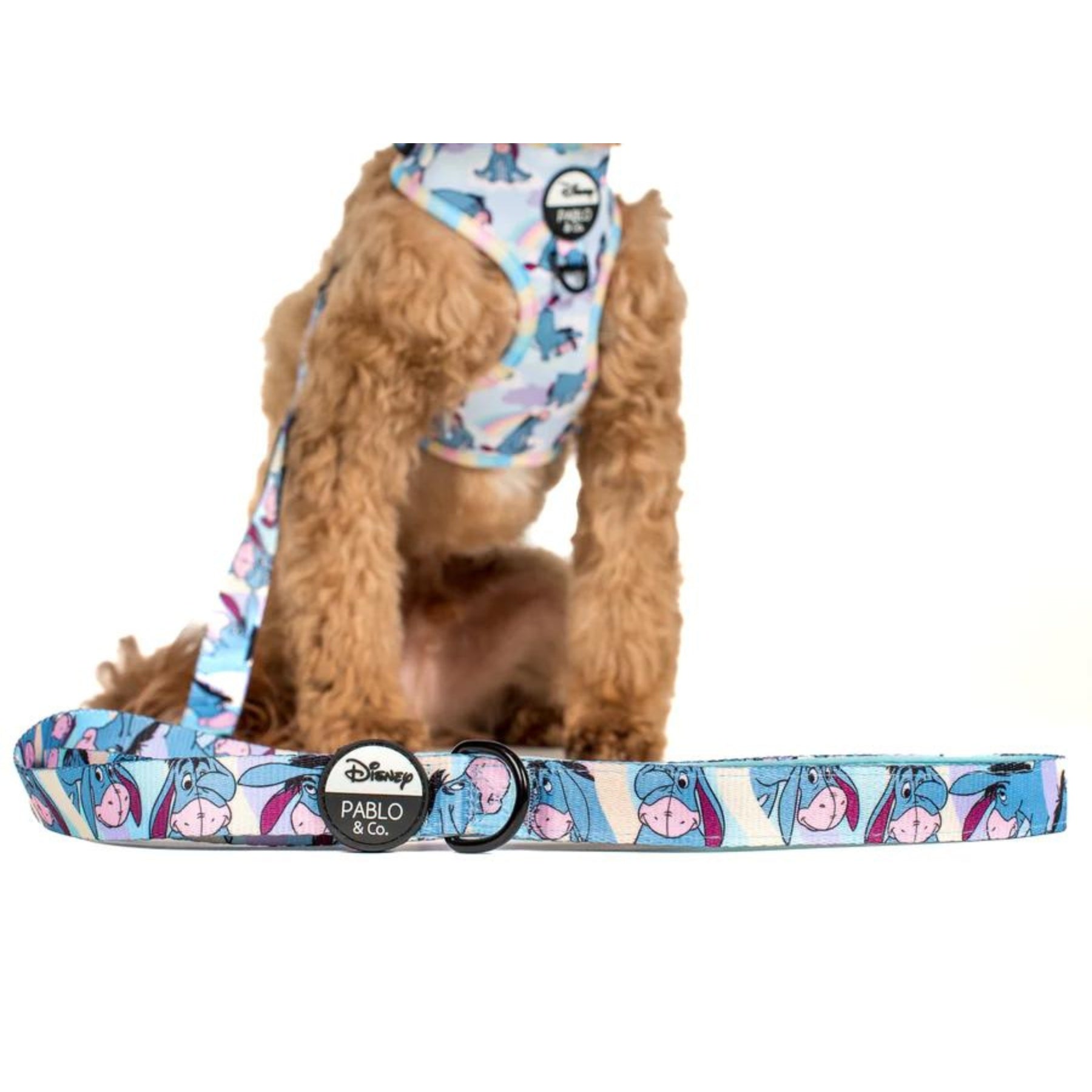 Eeyore dog clearance collar