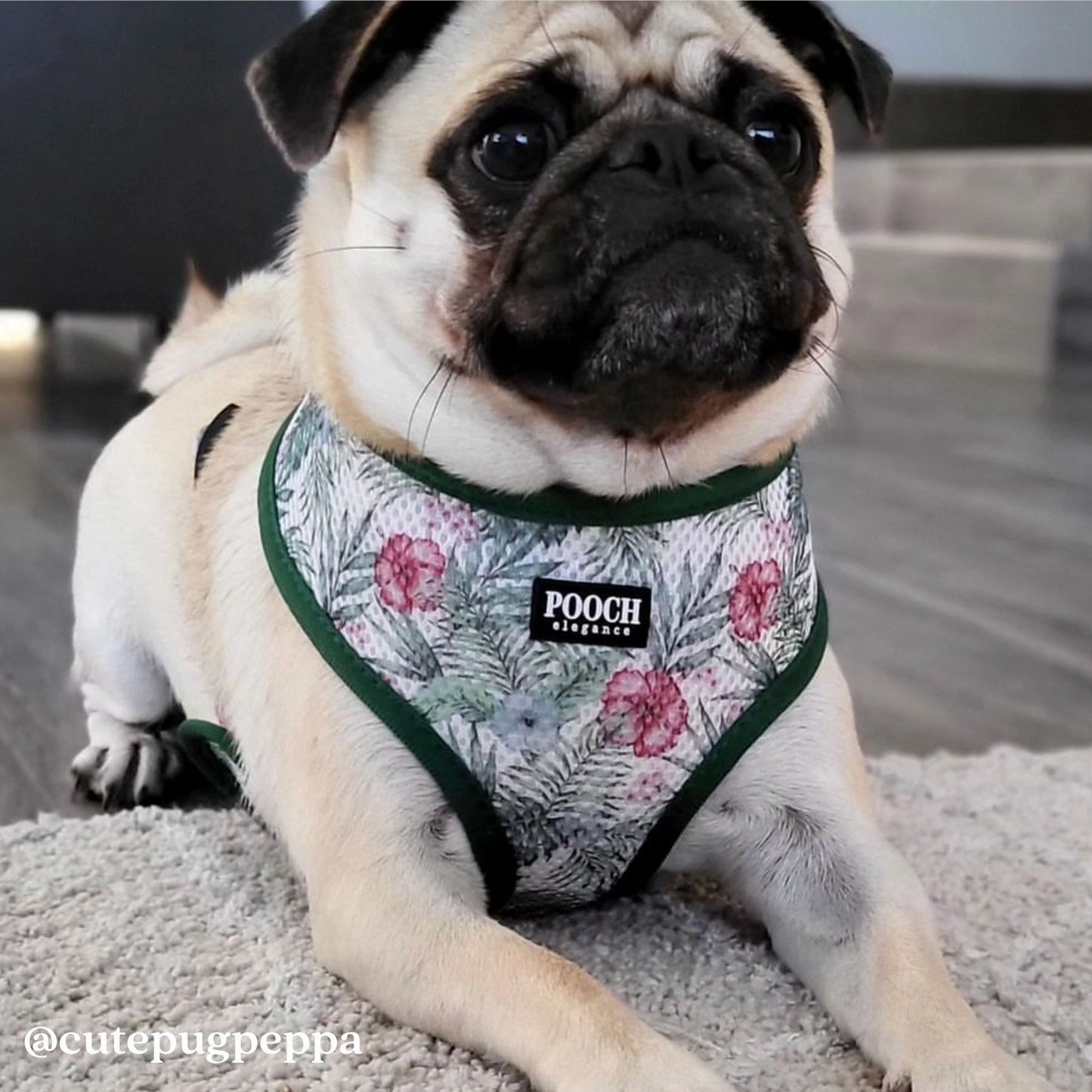 Exotic Blooms Reversible Dog Harness - Pooch Luxury