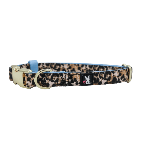 Exotic Dog Collar Pooch Luxury