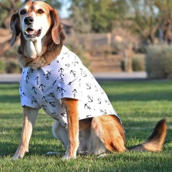 Hawaiian Camp Shirt - Anchors Away - Pooch Luxury