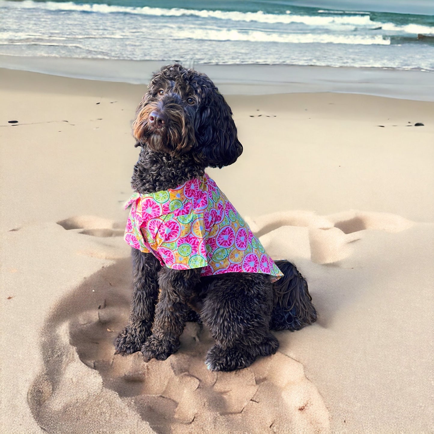 Hawaiian Camp Shirt - Citrus Slice - Pooch Luxury