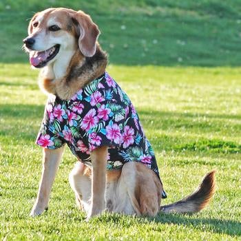 Hawaiian Camp Shirt - Paradise Nights - Pooch Luxury