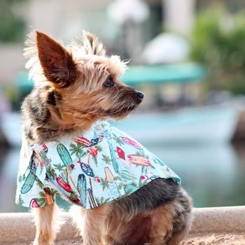 Hawaiian Camp Shirt - Surfboards and Palms - Pooch Luxury
