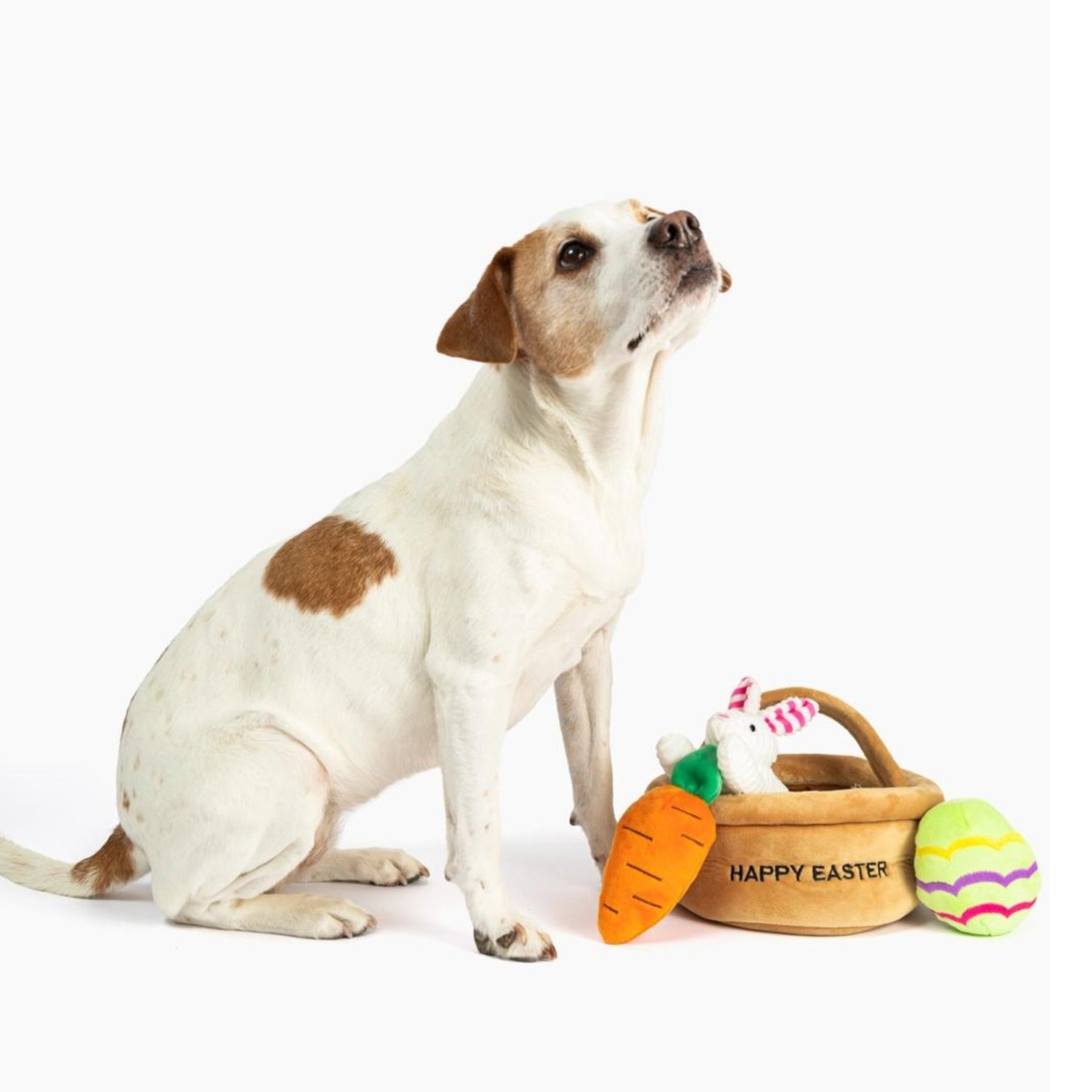 Hide A Toy Easter Basket Dog Toy Pooch Luxury