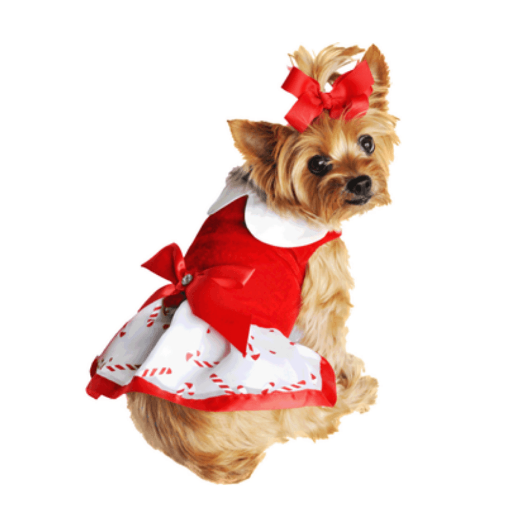 Holiday Dog Harness Dress - Candy Canes - Pooch Luxury Holiday Dog Harness Dress - Candy Canes - Pooch Luxury