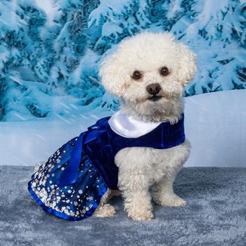 Holiday Dog Harness Dress - Snowflakes - Pooch Luxury