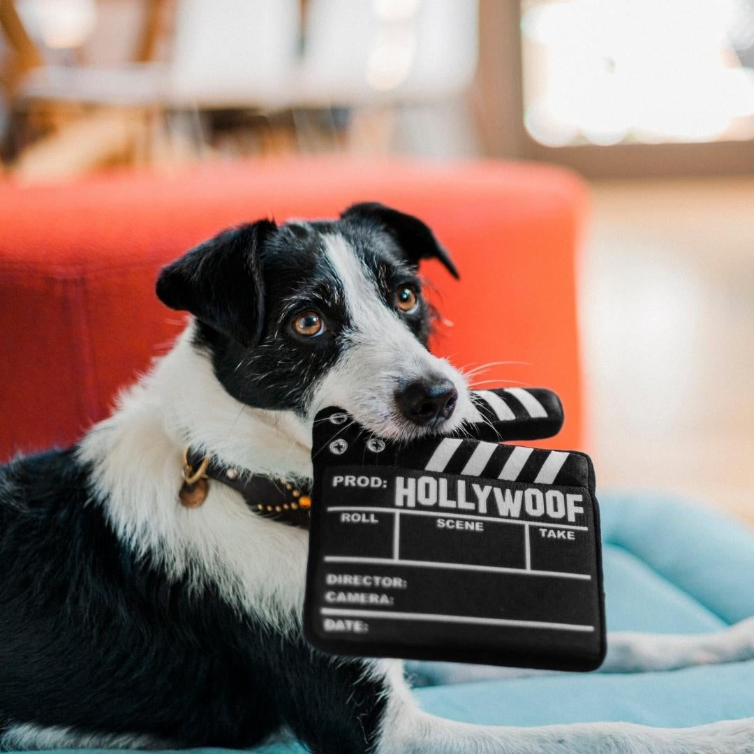Hollywoof Cinema Toy Collection - Pooch Luxury