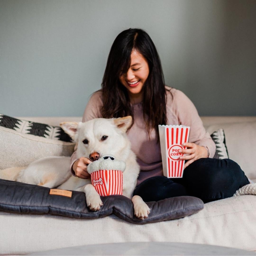Hollywoof Cinema Toy Collection - Pooch Luxury