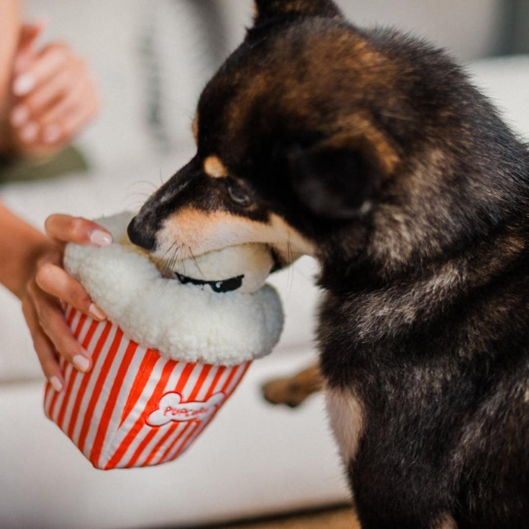 Hollywoof Cinema Toy Collection - Pooch Luxury