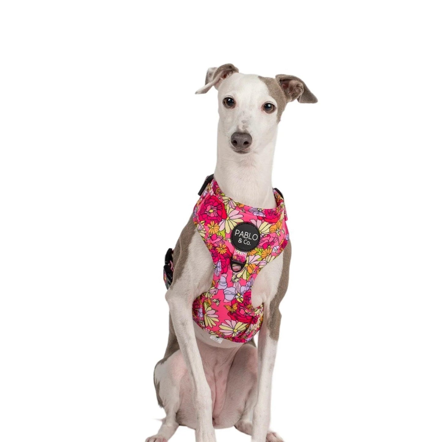 In Bloom Adjustable Harness - Pooch Luxury