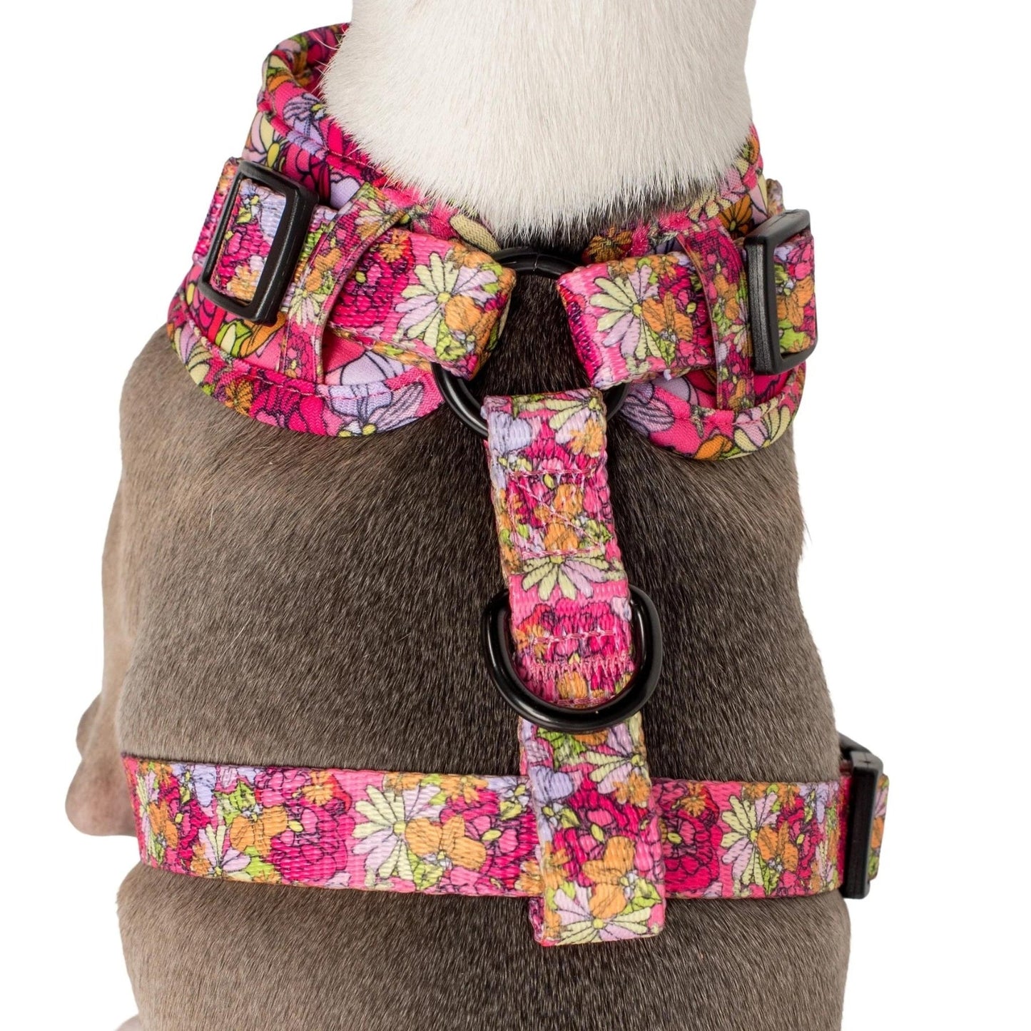 In Bloom Adjustable Harness - Pooch Luxury