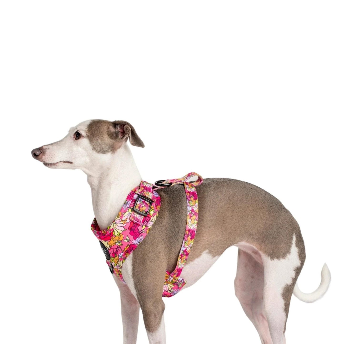 In Bloom Adjustable Harness - Pooch Luxury