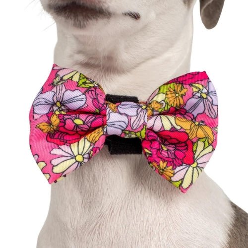 In Bloom Bow Tie - Pooch Luxury