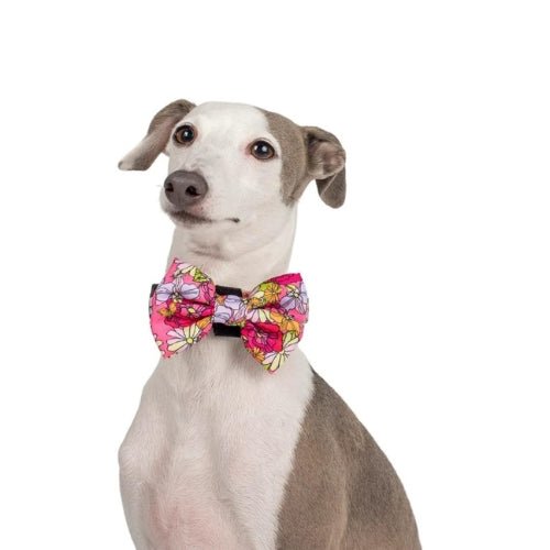 In Bloom Bow Tie - Pooch Luxury