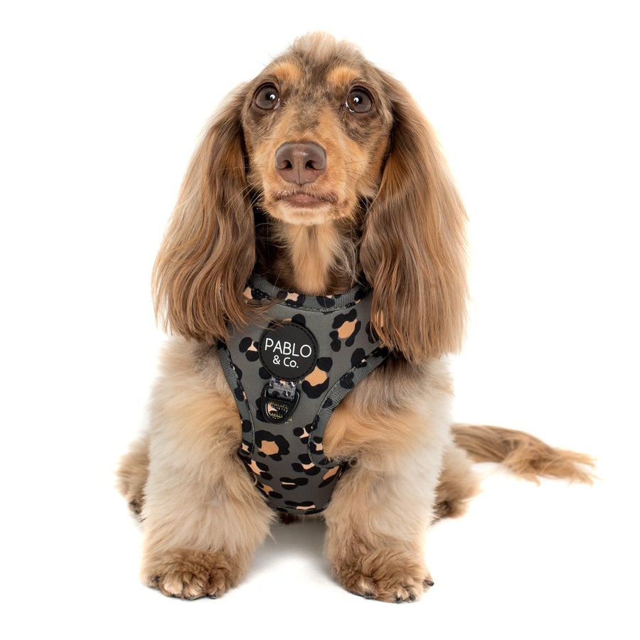 Khaki Leopard Adjustable Harness - Pooch Luxury