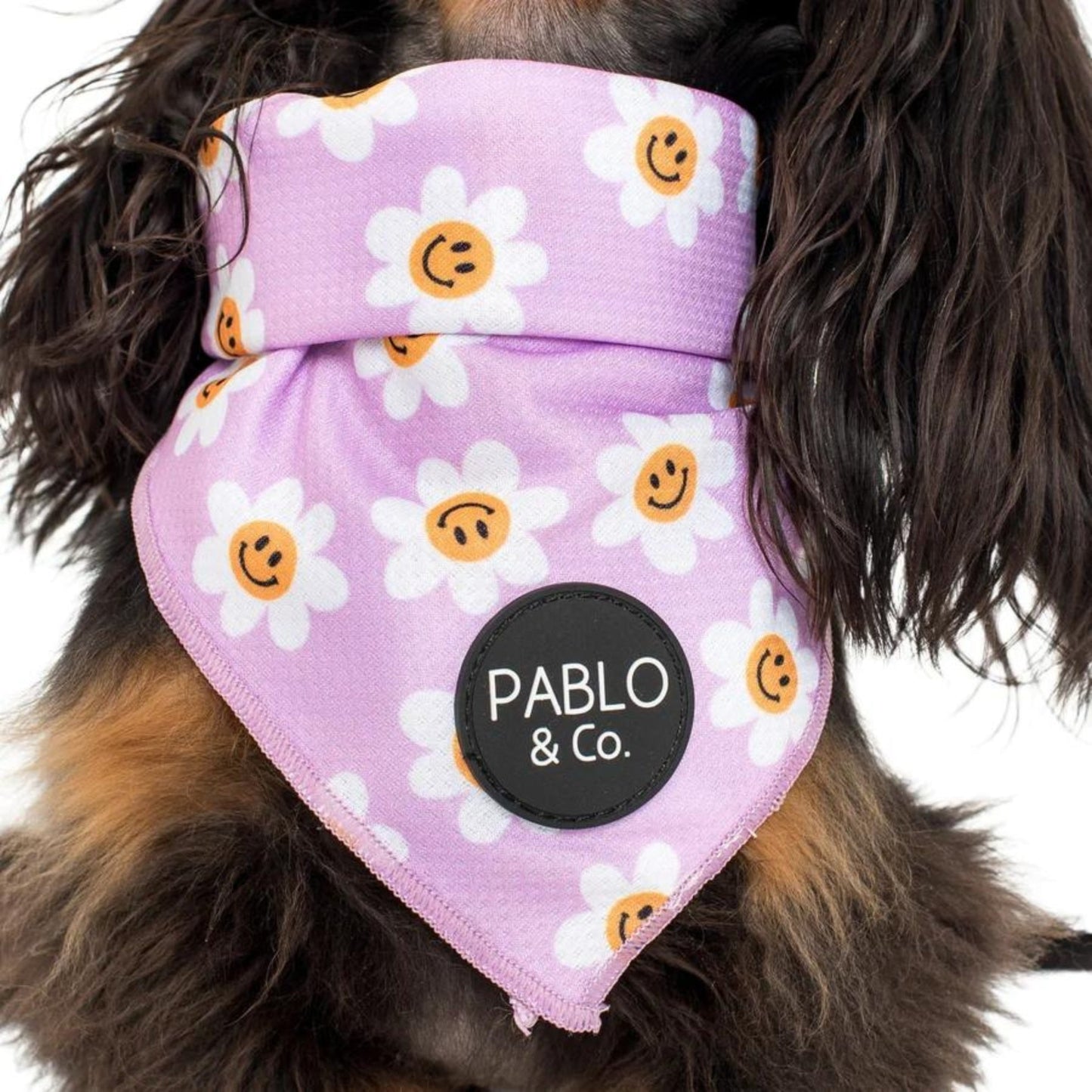 Lilac Smiley Flowers Dog Bandana - Pooch Luxury