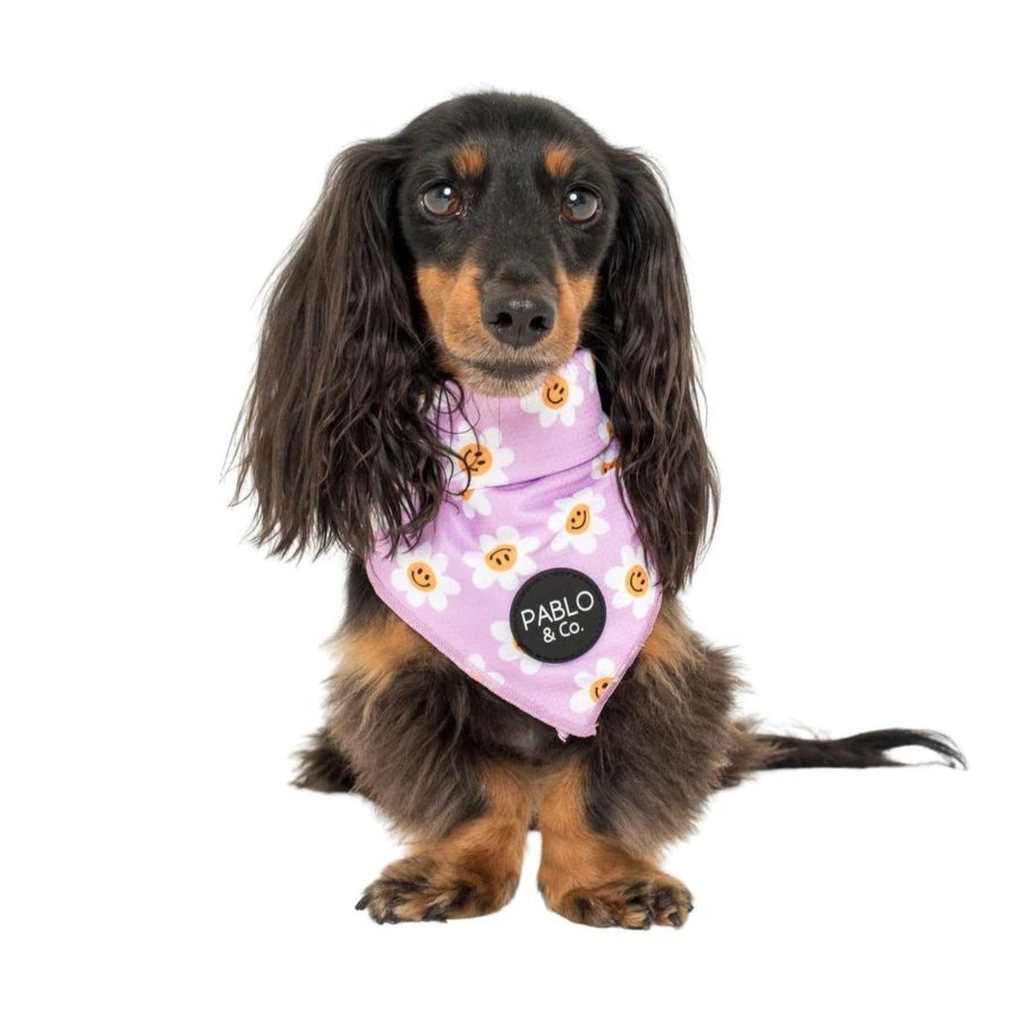 Lilac Smiley Flowers Dog Bandana - Pooch Luxury