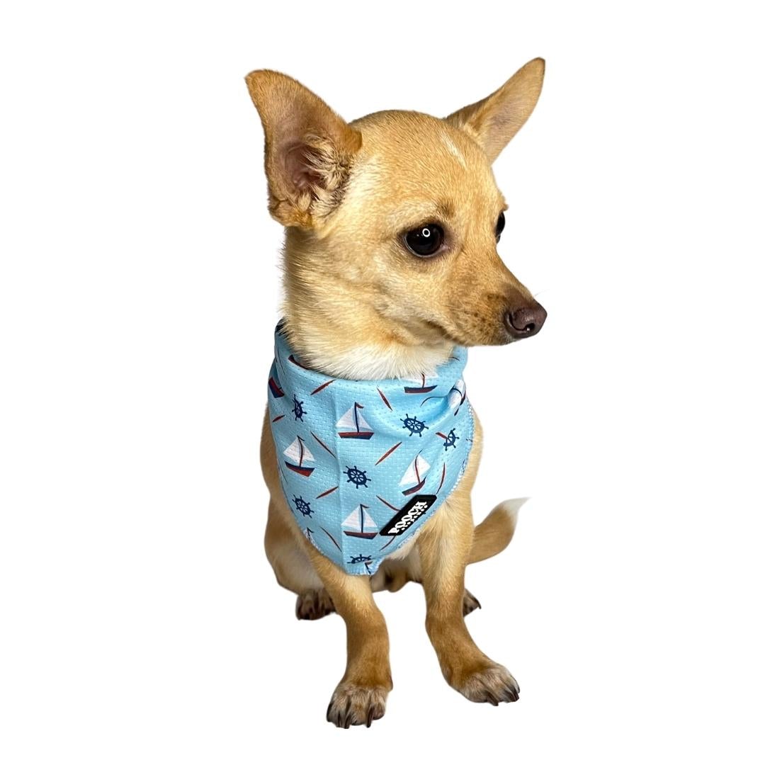 Little Boats Bandana - Pooch Luxury