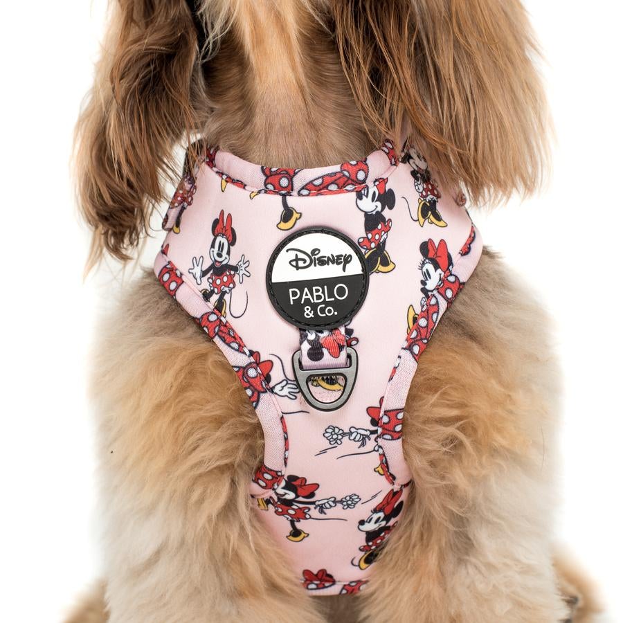 Minnie Mouse & Flowers Adjustable Harness - Pooch Luxury