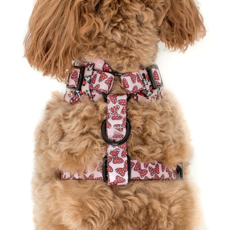 Minnie Mouse & Flowers Adjustable Harness - Pooch Luxury