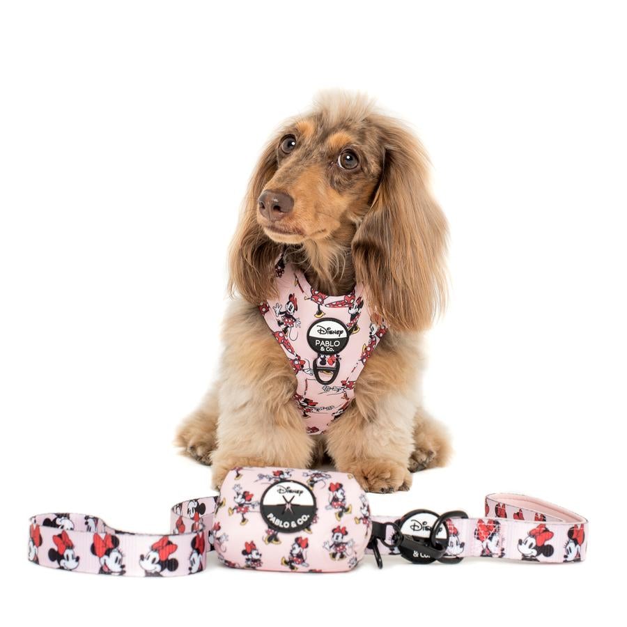 Minnie Mouse & Flowers Adjustable Harness - Pooch Luxury