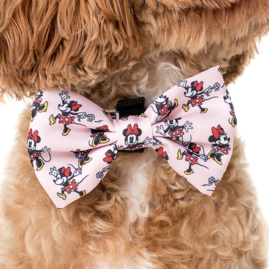 Minnie mouse dog collar with bow best sale