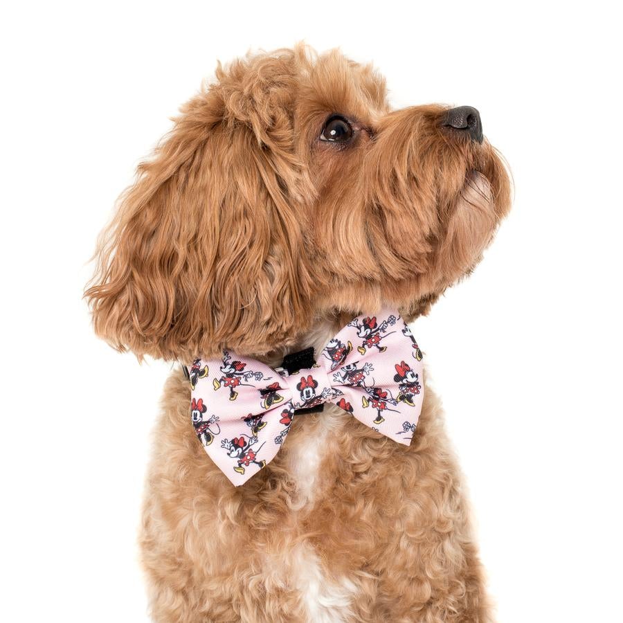Minnie Mouse & Flowers Bow Tie - Pooch Luxury