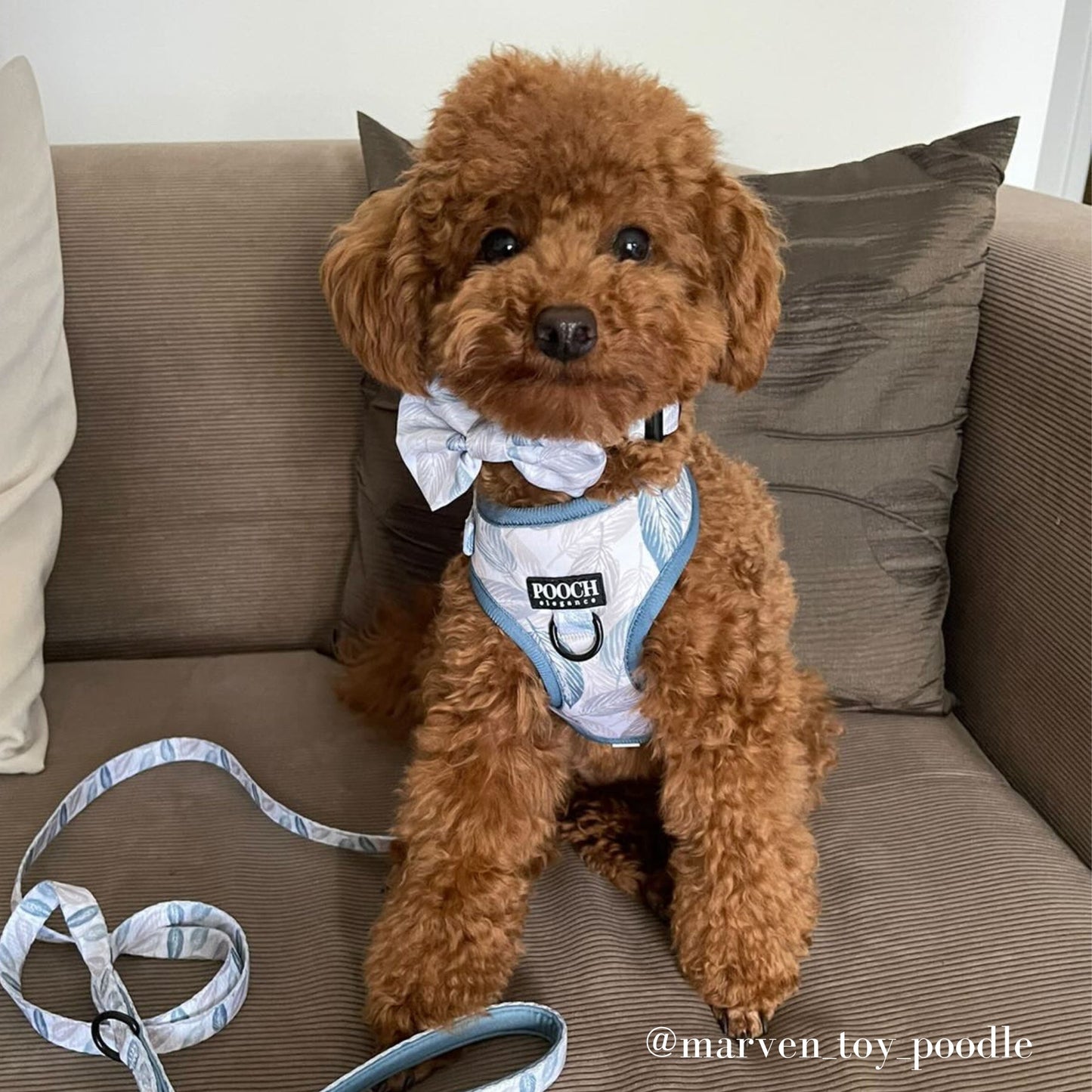 Misty Leaves Bow Tie - Pooch Luxury