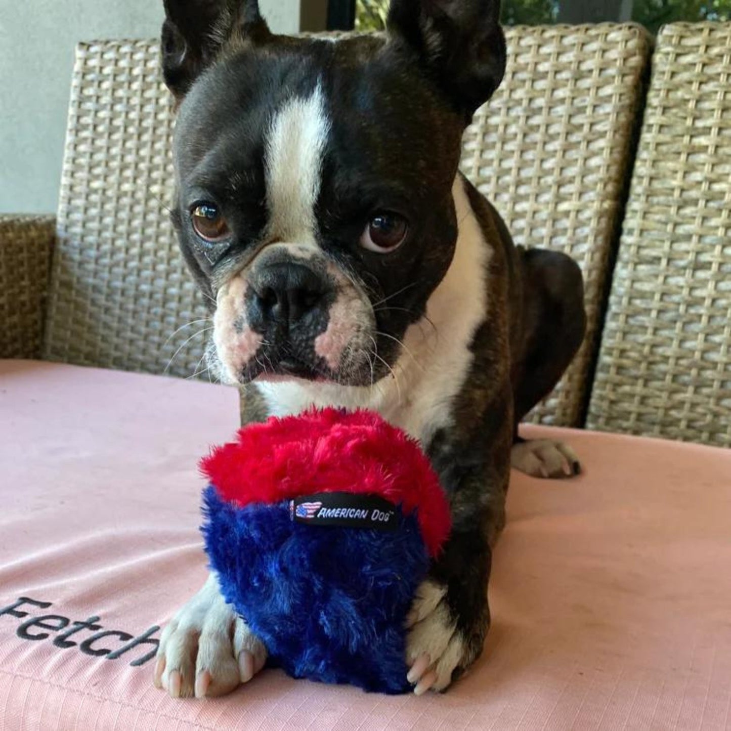 Nuggle Ball - Soft Faux Fur Ball - Pooch Luxury