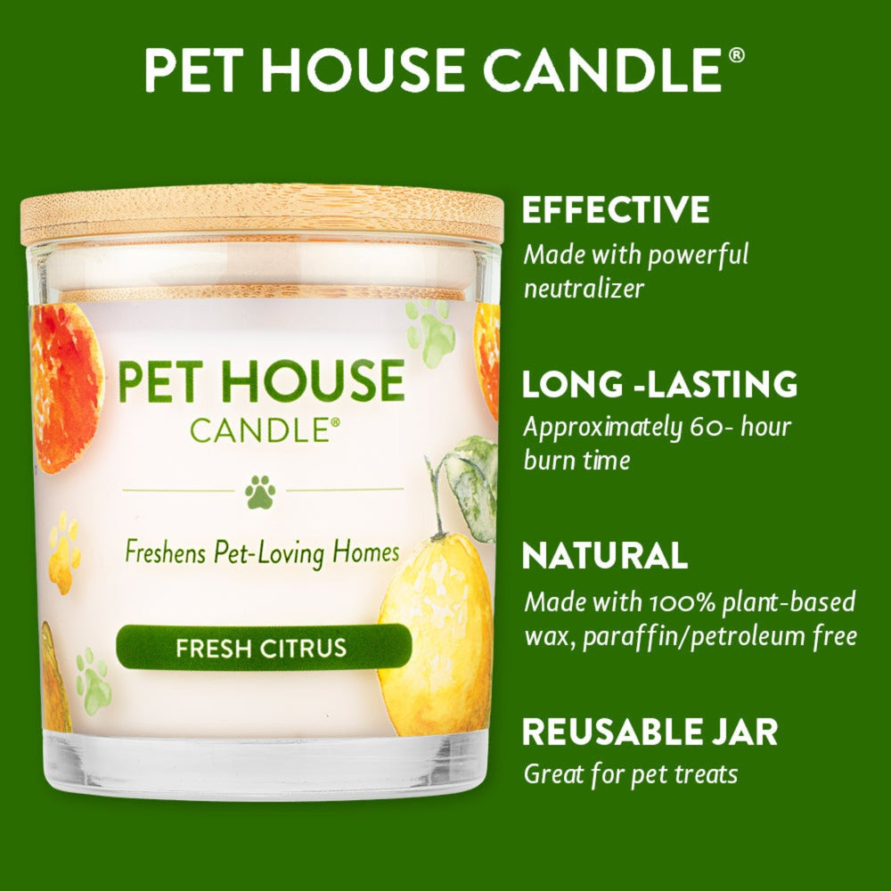 
                  
                    One Fur All Pet House Candle - Fresh Citrus - Pooch Luxury
                  
                
