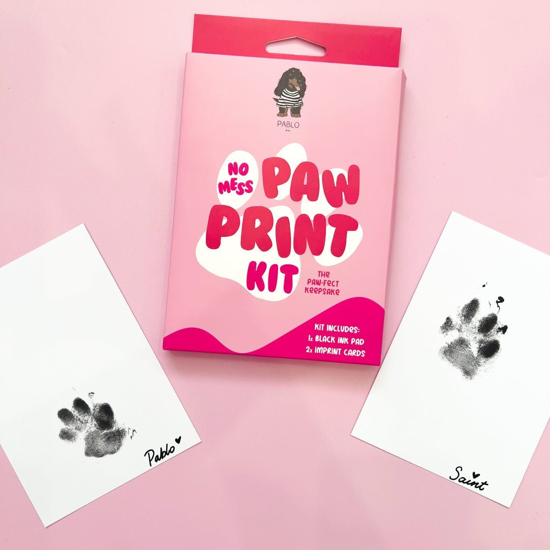 Pablo & Co No Mess Paw Print Kit Pooch Luxury