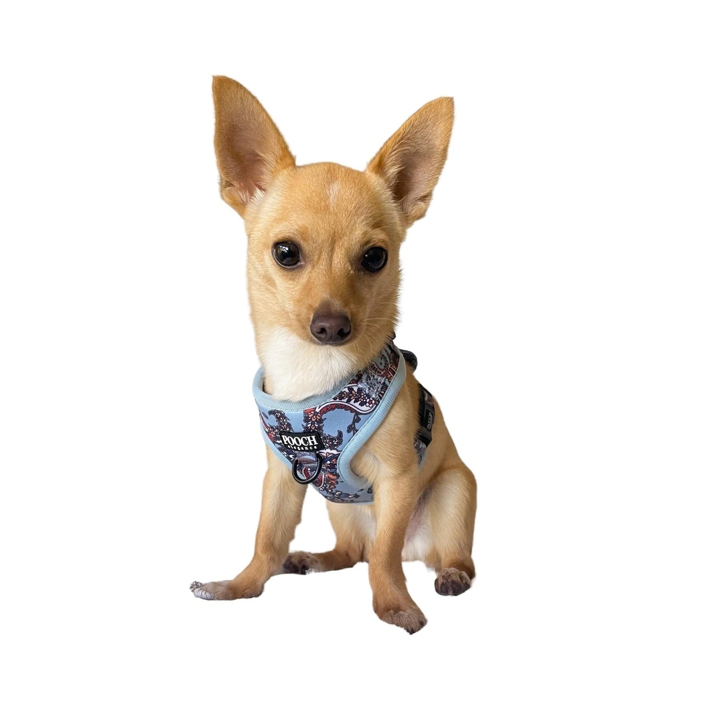 Paisley Blues Adjustable Harness - Pooch Luxury
