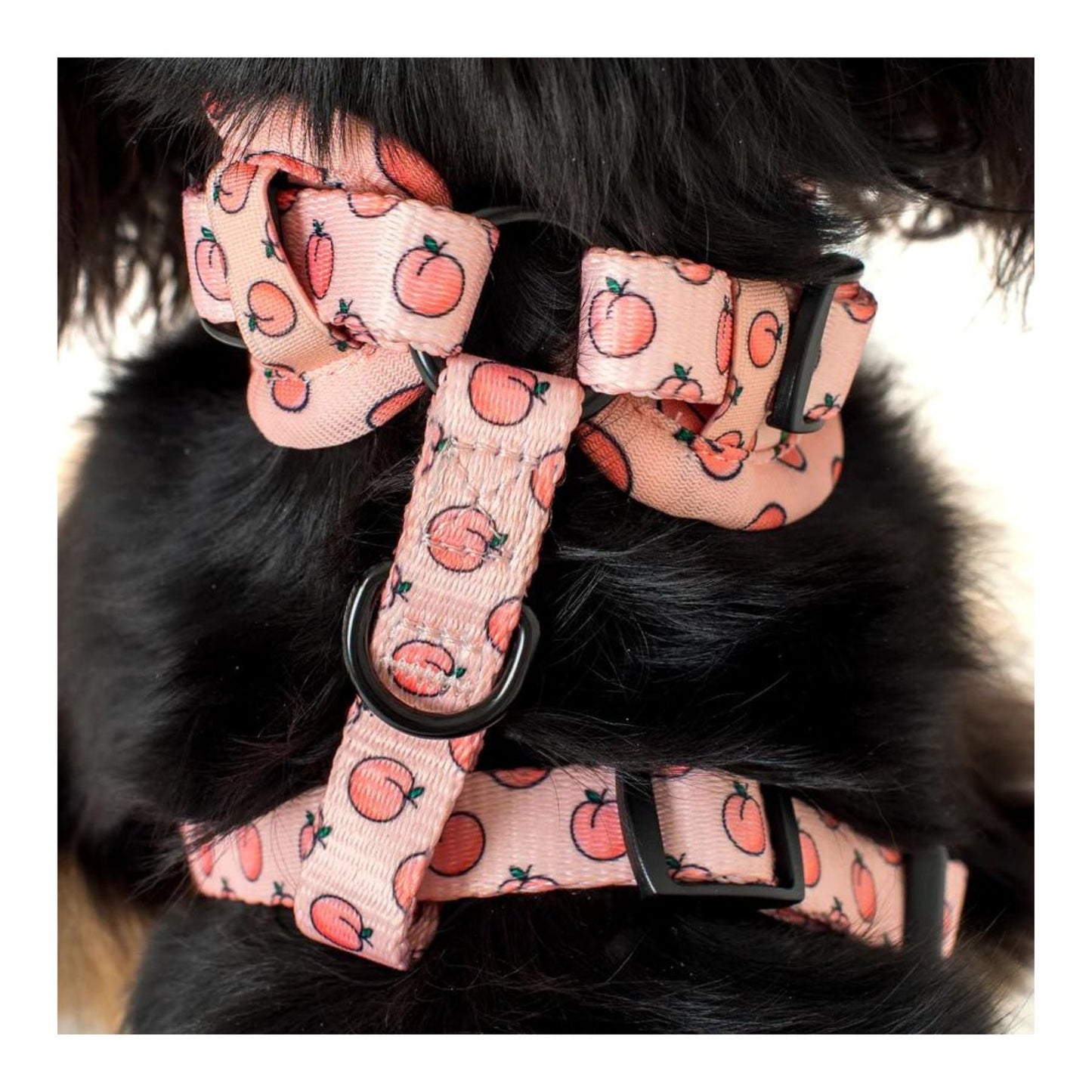 Peaches & Cream Adjustable Harness - Pooch Luxury
