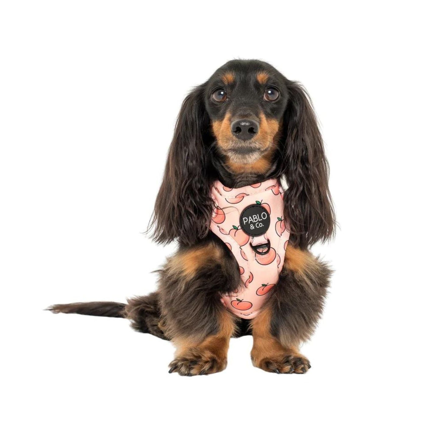 Peaches & Cream Adjustable Harness - Pooch Luxury