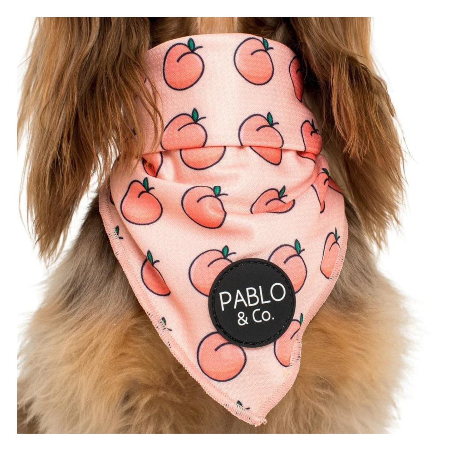 Peaches & Cream Dog Bandana - Pooch Luxury