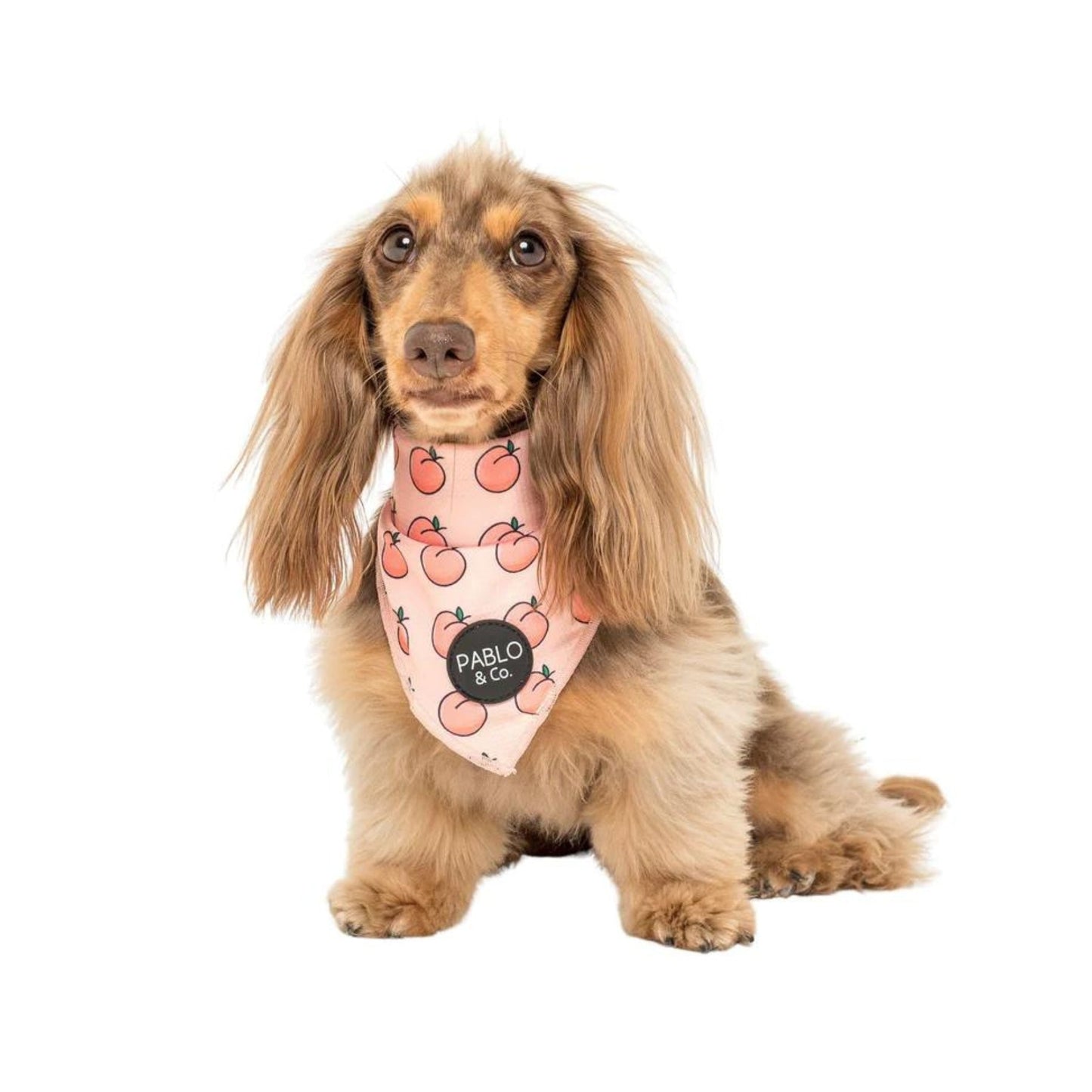 Peaches & Cream Dog Bandana - Pooch Luxury