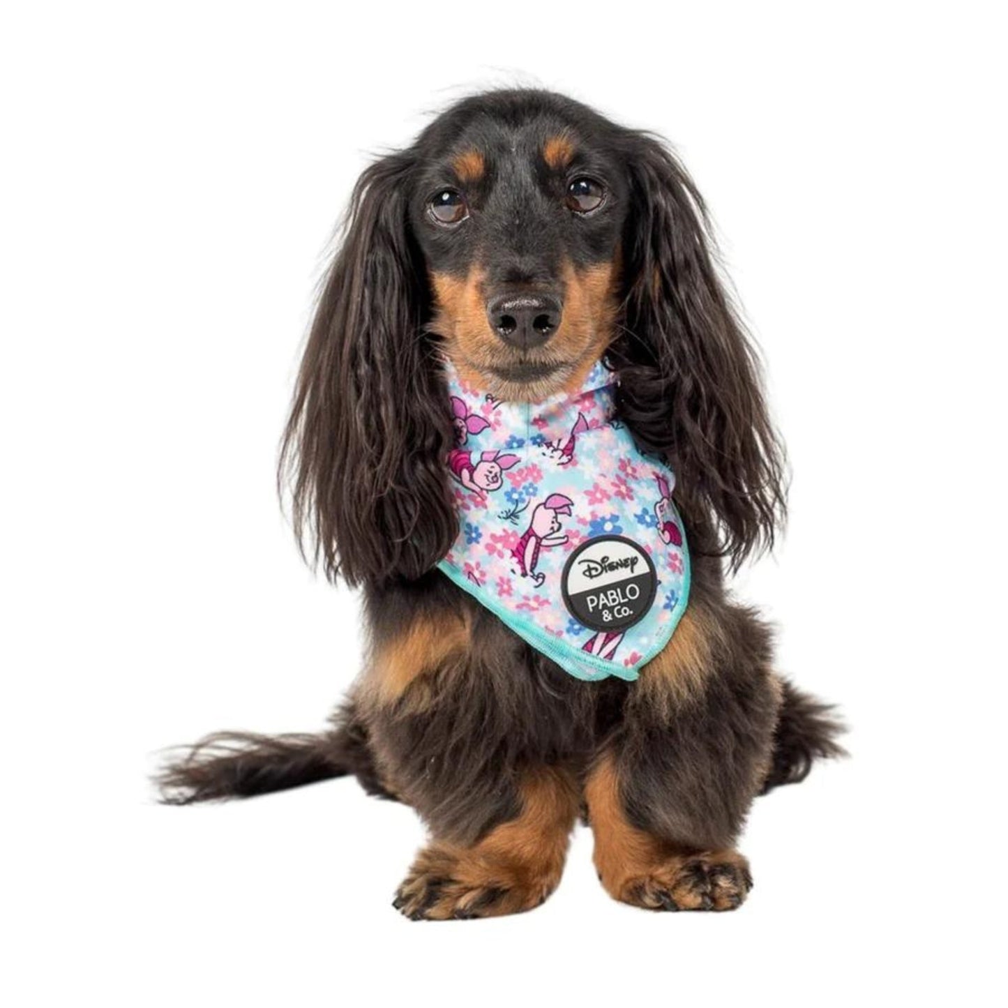 Piglet Dog Bandana - Pooch Luxury
