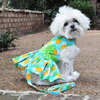 Pineapple Luau Harness Dress - Pooch Luxury