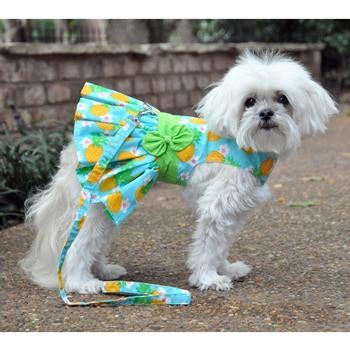 Pineapple Luau Harness Dress - Pooch Luxury