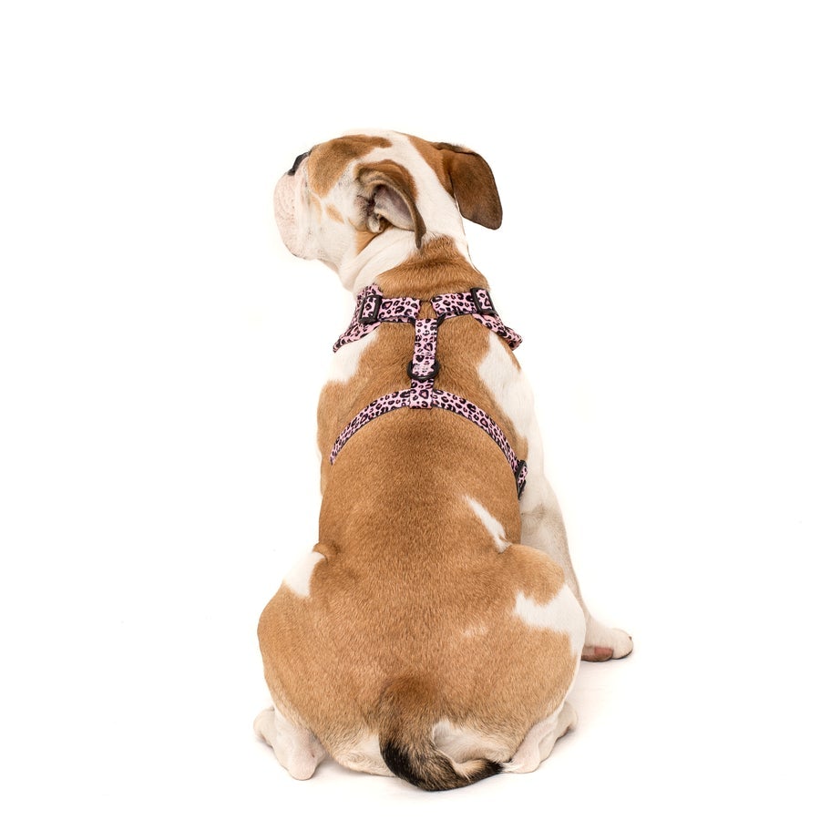 Pink Leopard Adjustable Harness - Pooch Luxury